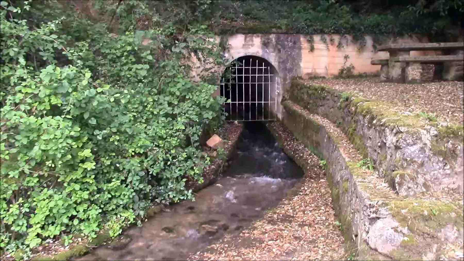 Nacedero de Nacelagua en Genevilla. CEDIDA