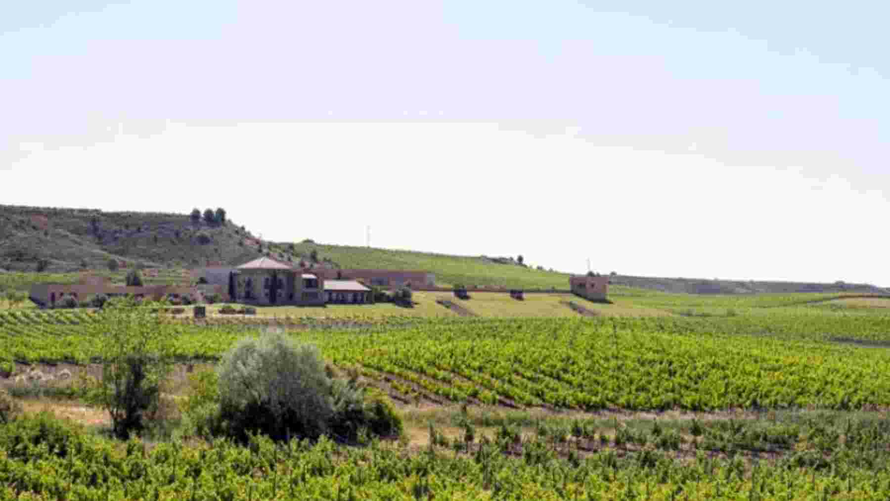 Bodegas Pago de Araiz
