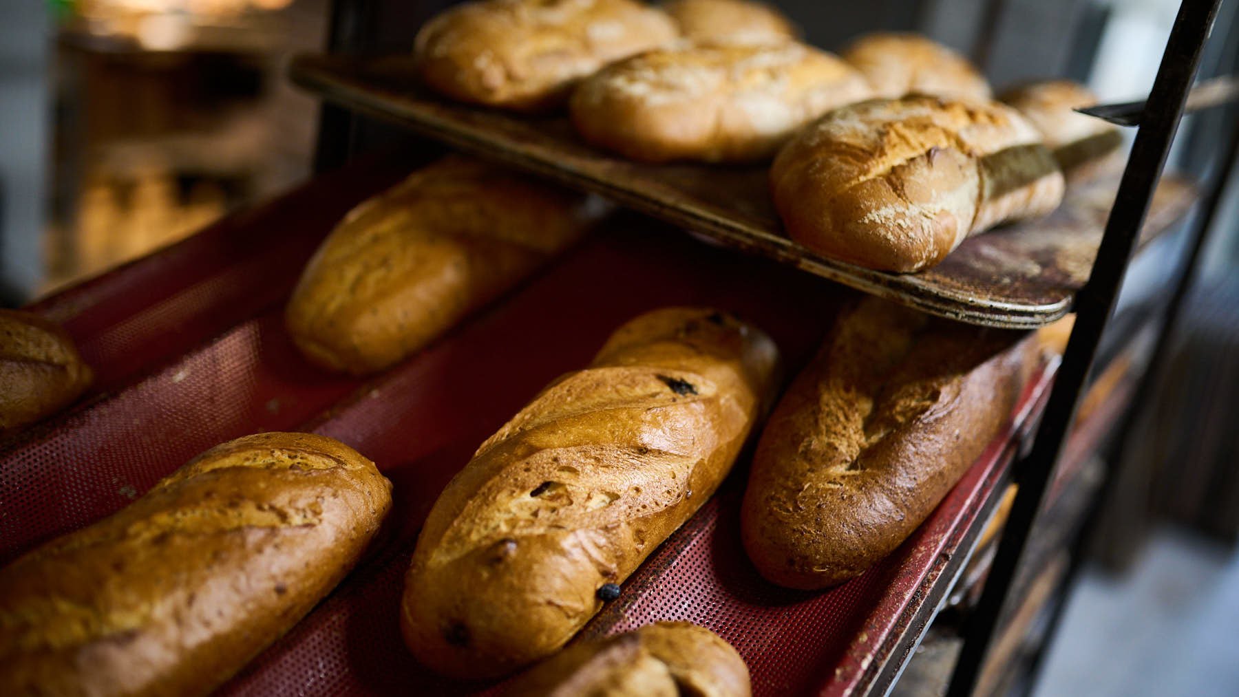 Pastelería Gloria, un obrador en la calle Nuestra Señora de Aránzazu 5 de Berriozar. PABLO LASAOSA