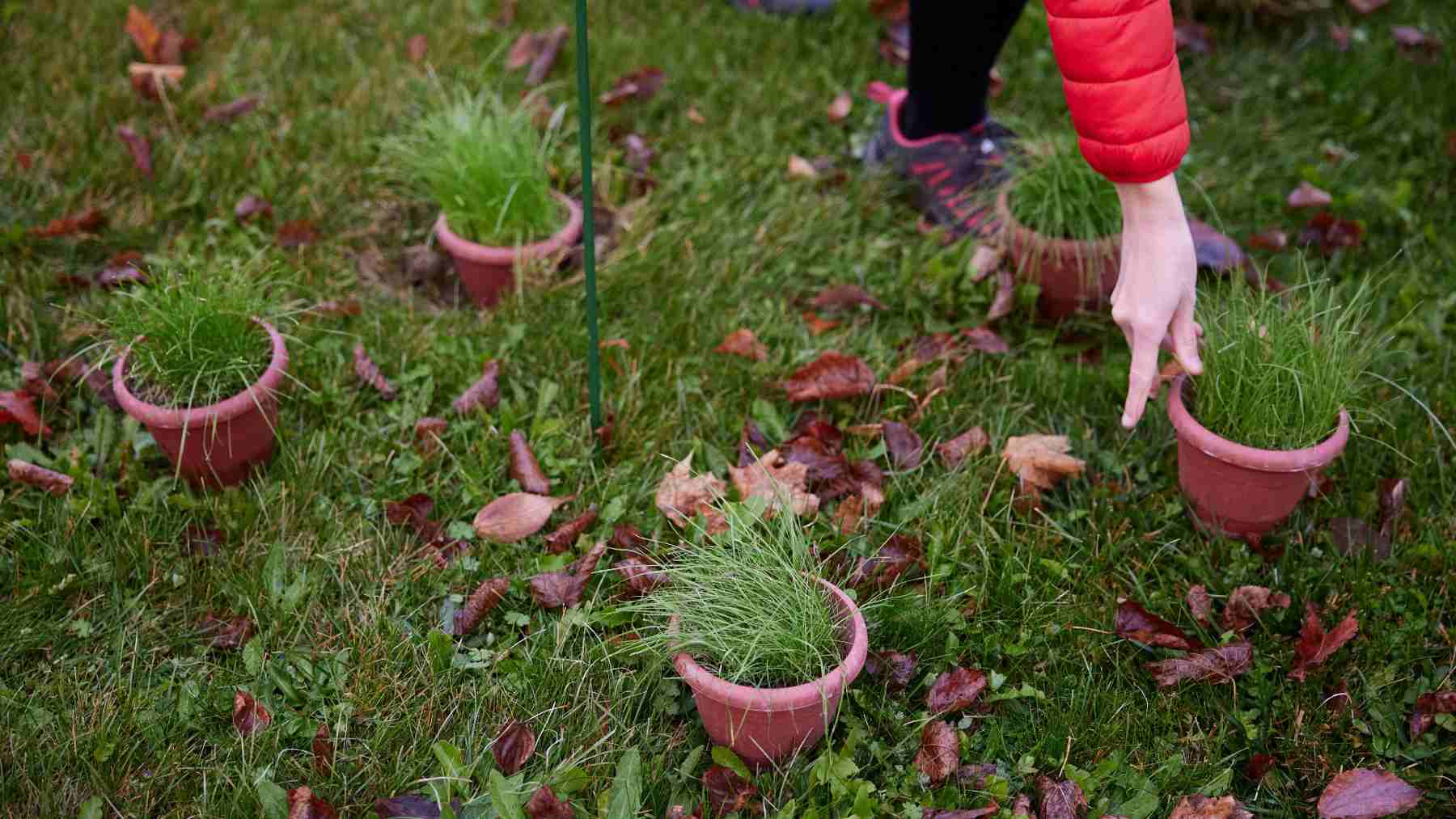 Un operario de CSIC enterrando una de las macetas. AYUNTAMIENTO DE PAMPLONA