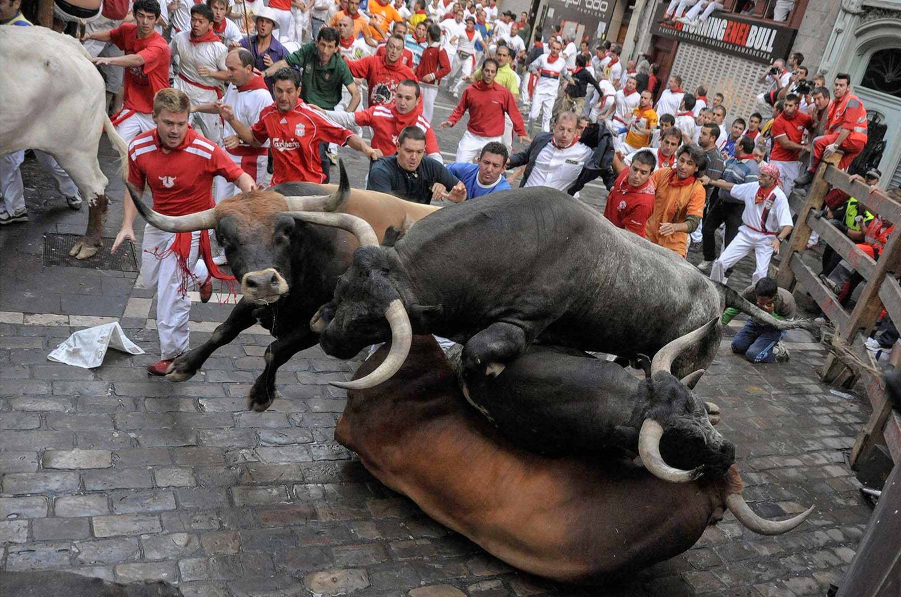12/07/2009 El miura ‘Dondequiera’ llegó a la curva de Mercaderes con tal fuerza que golpeó el vallado y empitonó en la garganta a José María García Erce de Calahorra que en la foto se encuentra de rodillas con la mano al cuello. Los cuatro miuras se apelotonaron en una inédita instantánea. (Foto John Kimmich Javier, cortesía del autor)