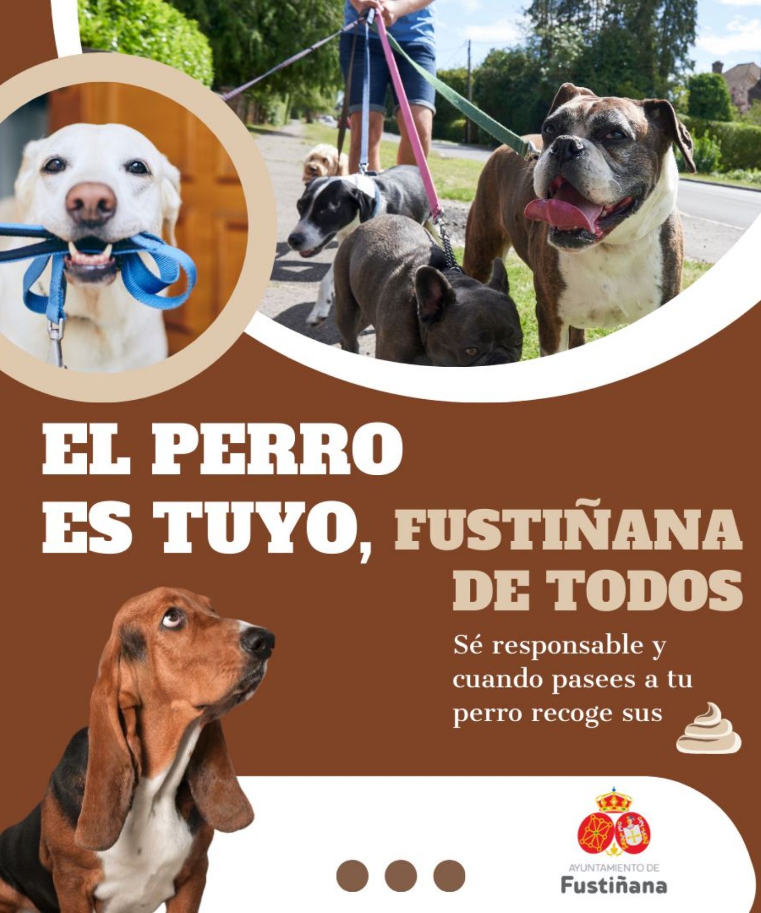 Campaña del Ayuntamiento de Fustiñana. CEDIDA