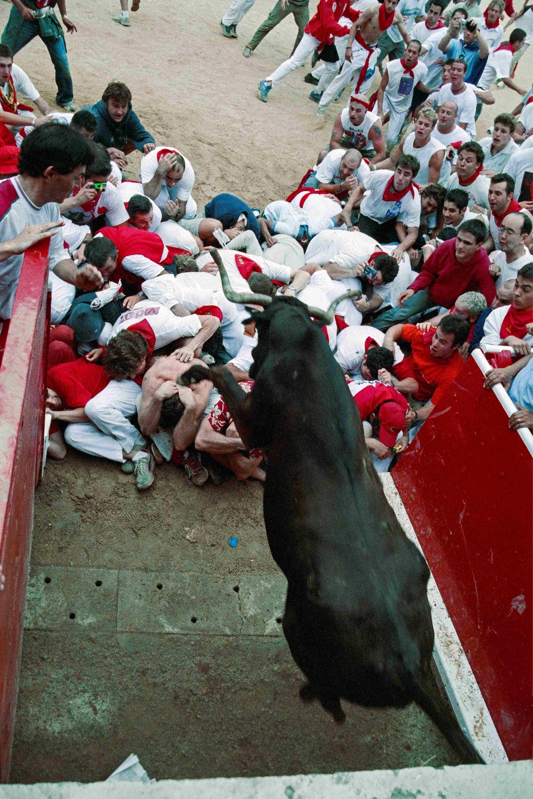 Foto 15. Salida de una vaquilla del toril. Foto exhibida en el Salón San Fermín de 2005 (Foto Javier Ochoa Martínez, cortesía del autor)