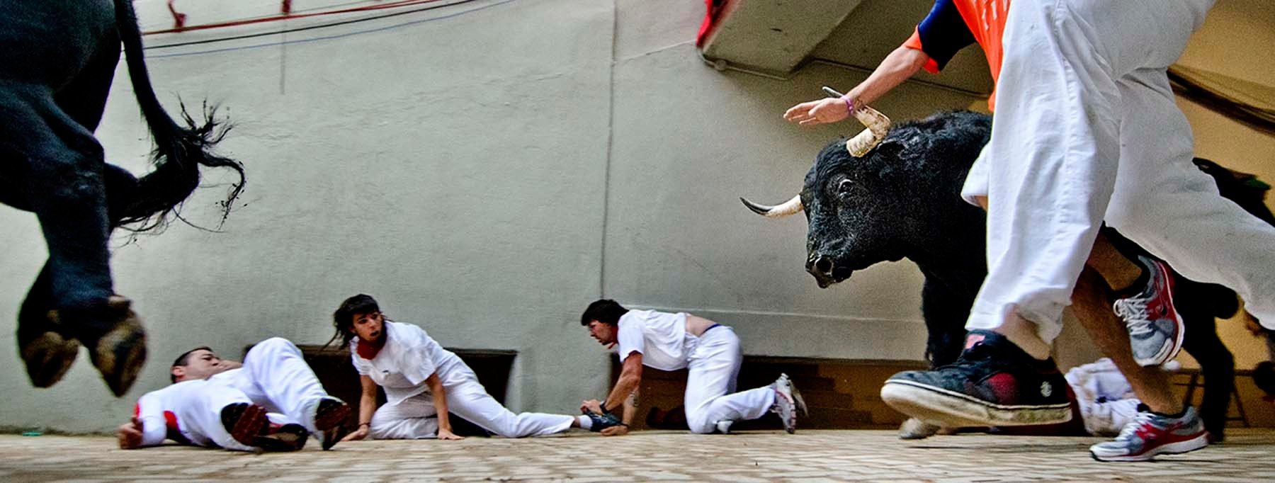 Foto 11. El encierro visto desde la gatera del callejón de la plaza de toros. Irrepetible. (Foto José Torregrosa, cortesía del autor)