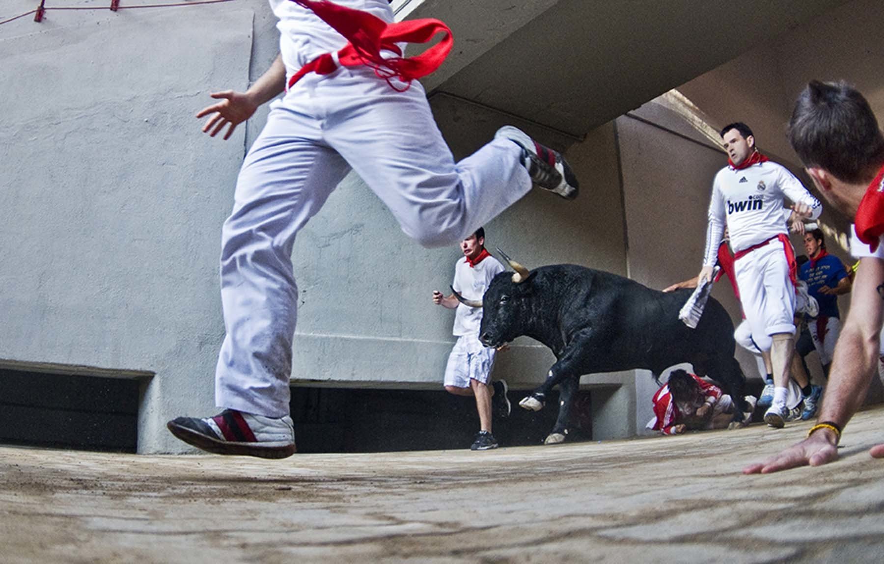 Foto 12. Otra vista desde la gatera del callejón de la plaza de toros. Irrepetible. (Foto José Torregrosa, cortesía del autor)