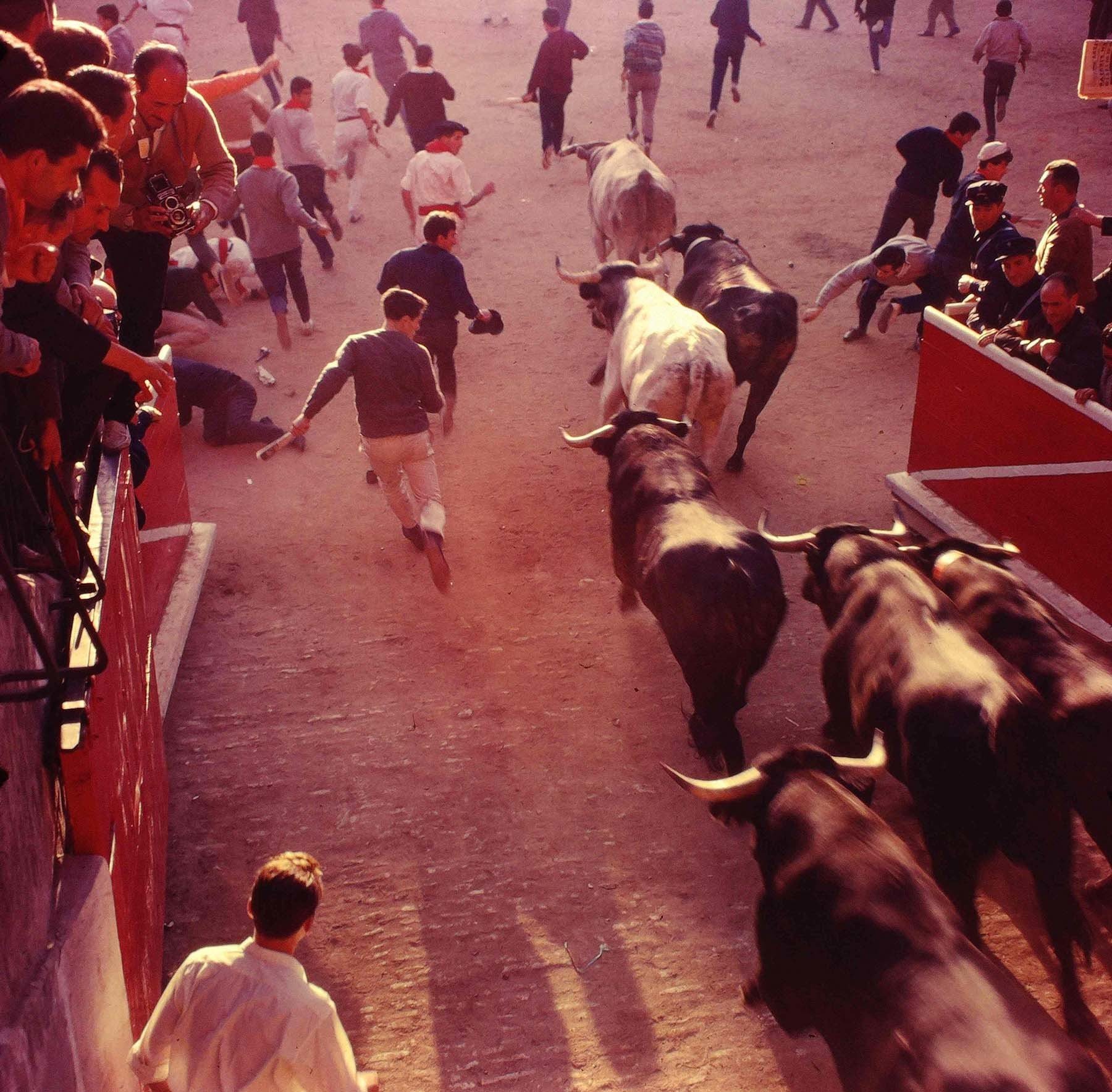 Foto 05. Encierro captado desde la plataforma del callejón. (Foto Javier Cejuela, cortesía de la familia)