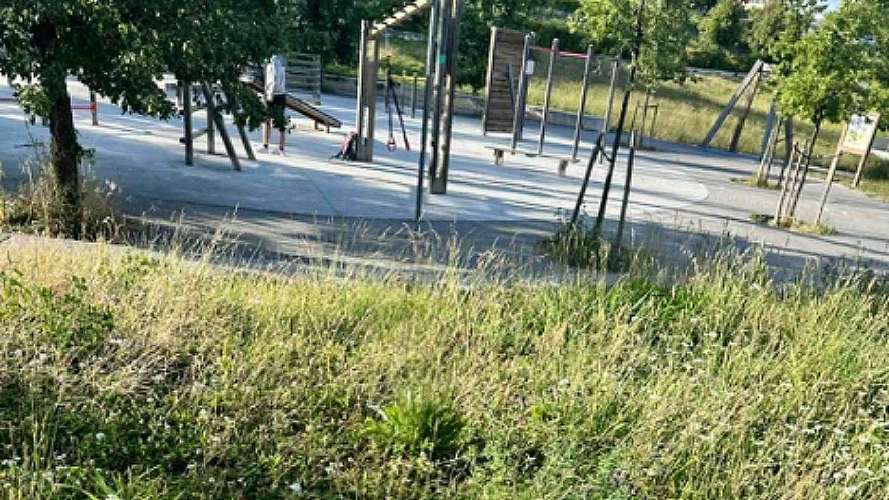Estado de abandono del parque de Las Pioneras en el barrio de Lezkairu de Pamplona. CEDIDA