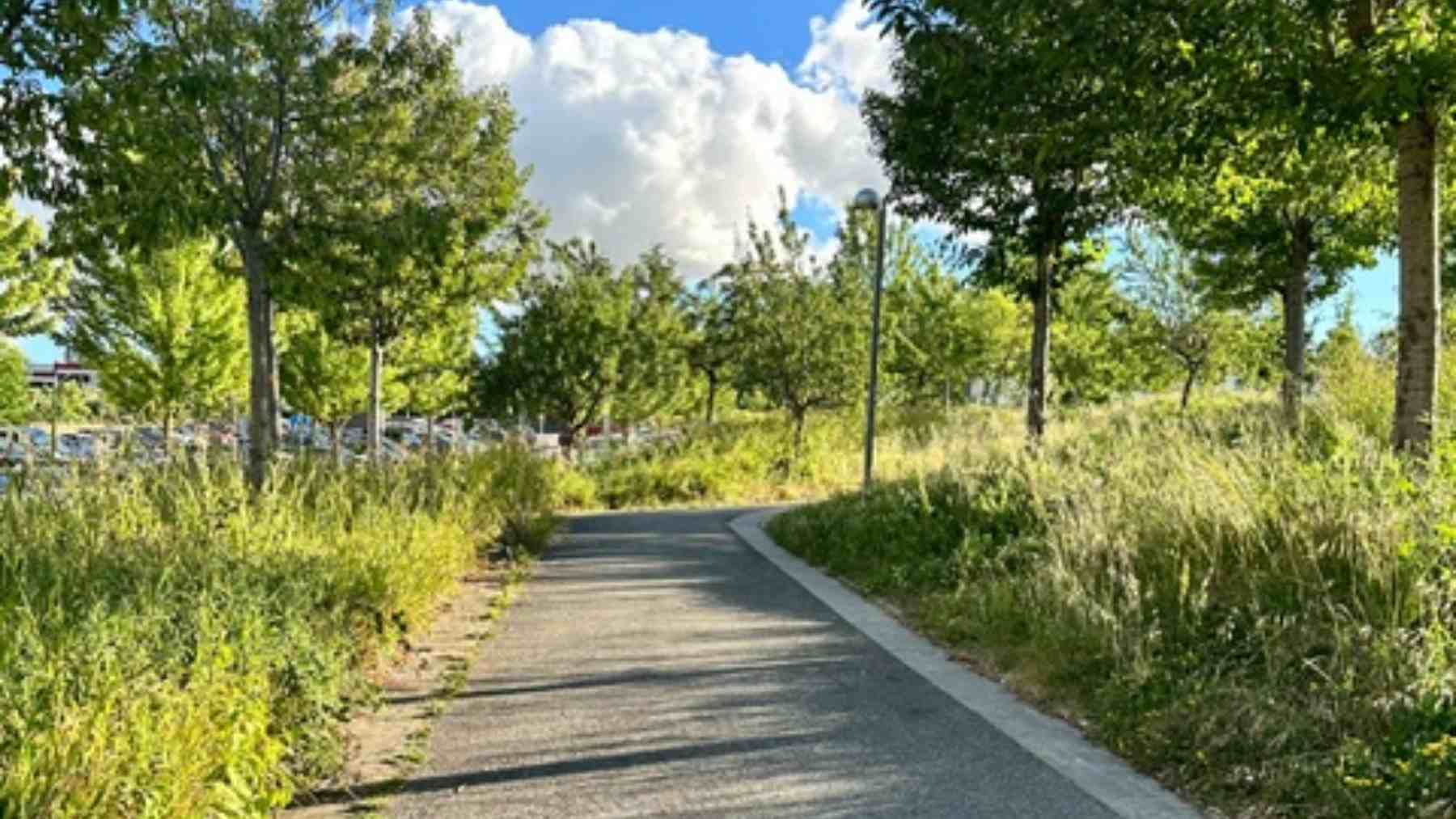 Estado de abandono del parque de Las Pioneras en el barrio de Lezkairu de Pamplona. CEDIDA