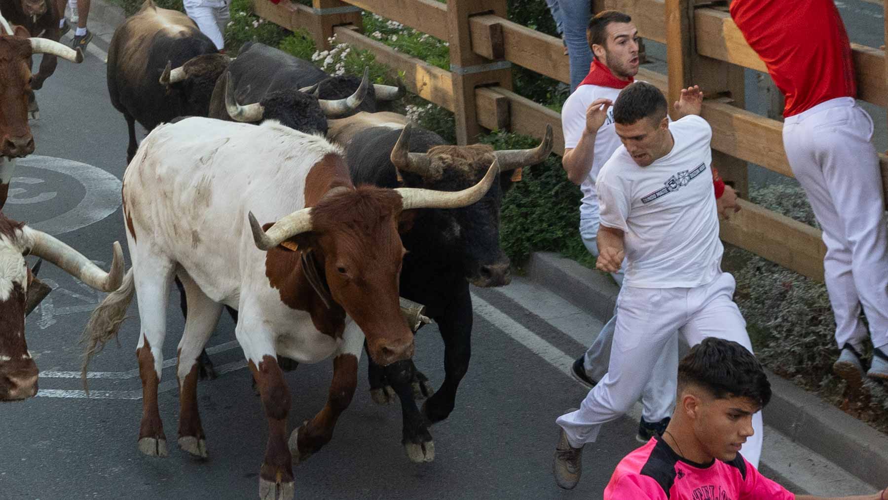 Tercer encierro de Tudela, con toros de José Luis Cuartero de Pradilla de Ebro. Maite H. Mateo-21