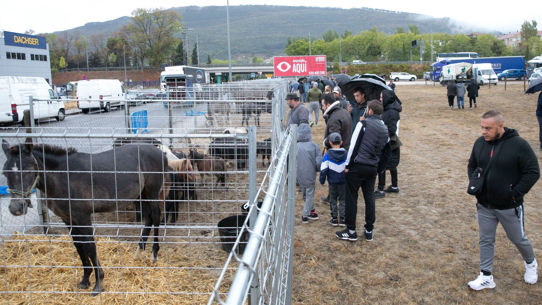 Vuelve una de las ferias más tradicionales de Pamplona: conoce todos los detalles