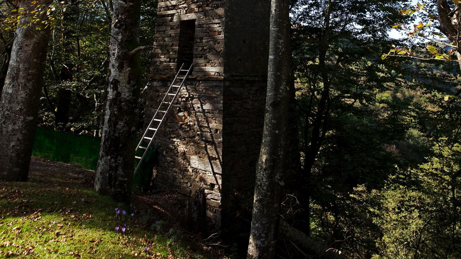 Imagen de archivo de una palomera en Echalar. TURISMO DE NAVARRA