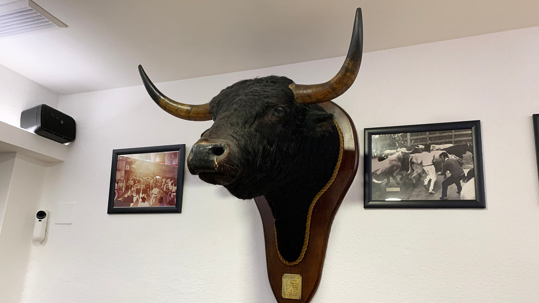 Una de las cabezas de toro disecadas en el bar Etxebe de pamplona. Navarra.com