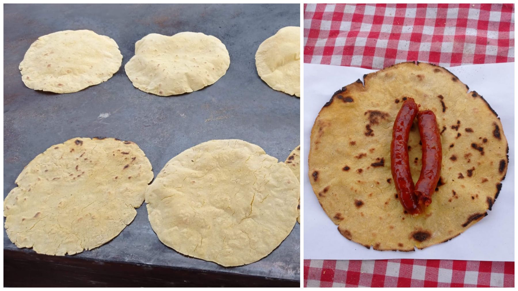 Fotomontaje de varias imágenes de unos talos de Talos Saralegi. CEDIDA