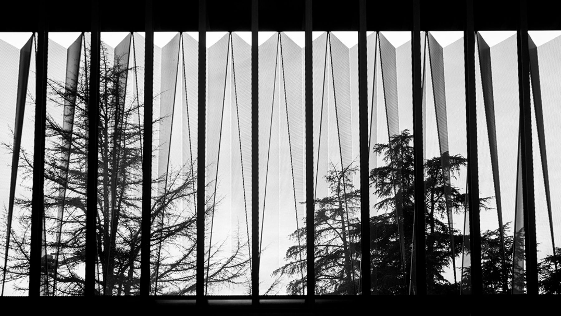 Fotografía de José Antonio de la Fuente que ha quedado en tercer lugar. AYUNTAMIENTO DE PAMPLONA