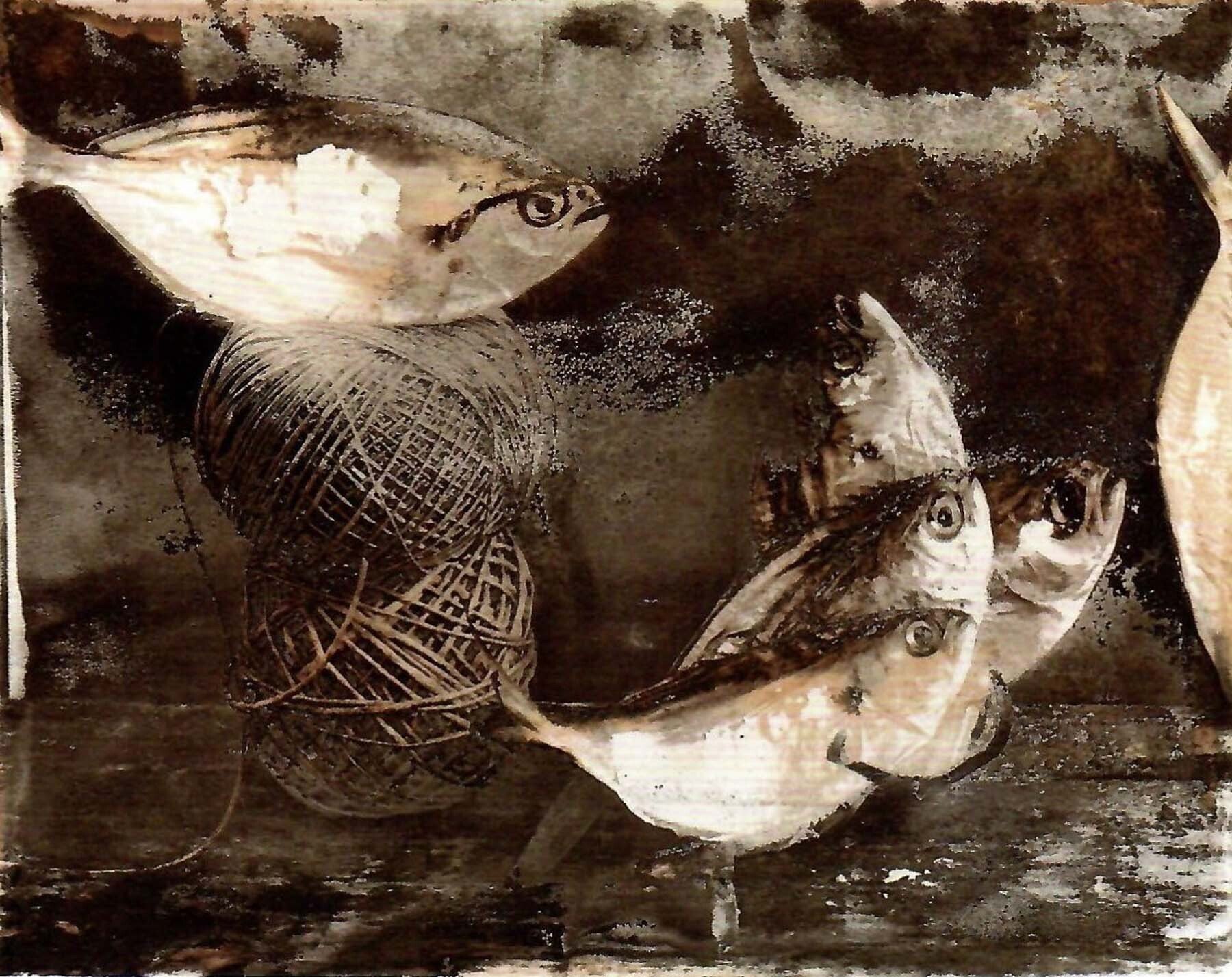 Foto 18. Bodegón de peces con la técnica de fotografía instantánea. Del portafolio La Violación Cósmica. PN-55. (Foto Koldo Chamorro, cortesía de la familia)