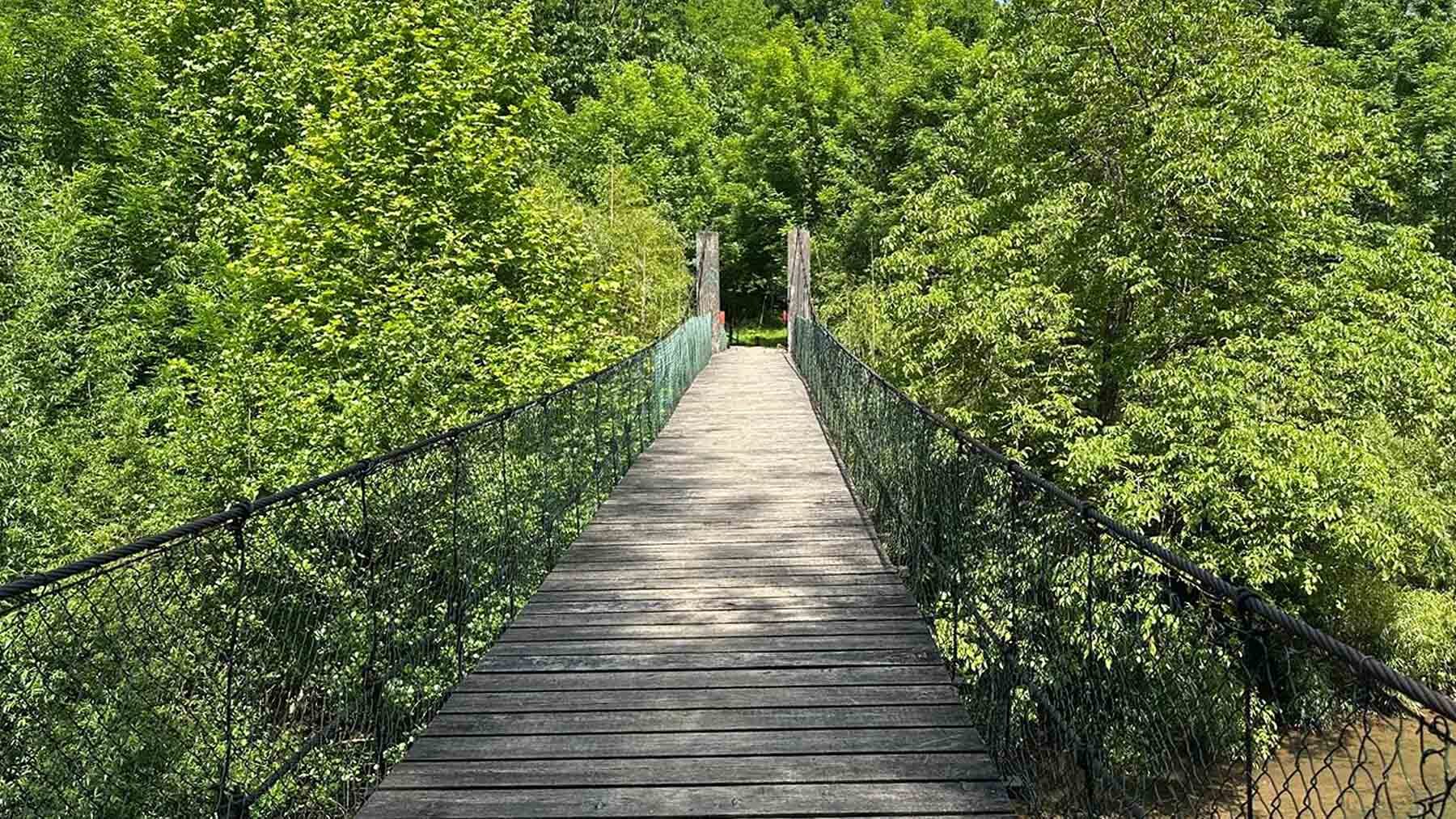 La ruta fácil en Navarra que te lleva a una preciosa cascada y atraviesa un puente colgante