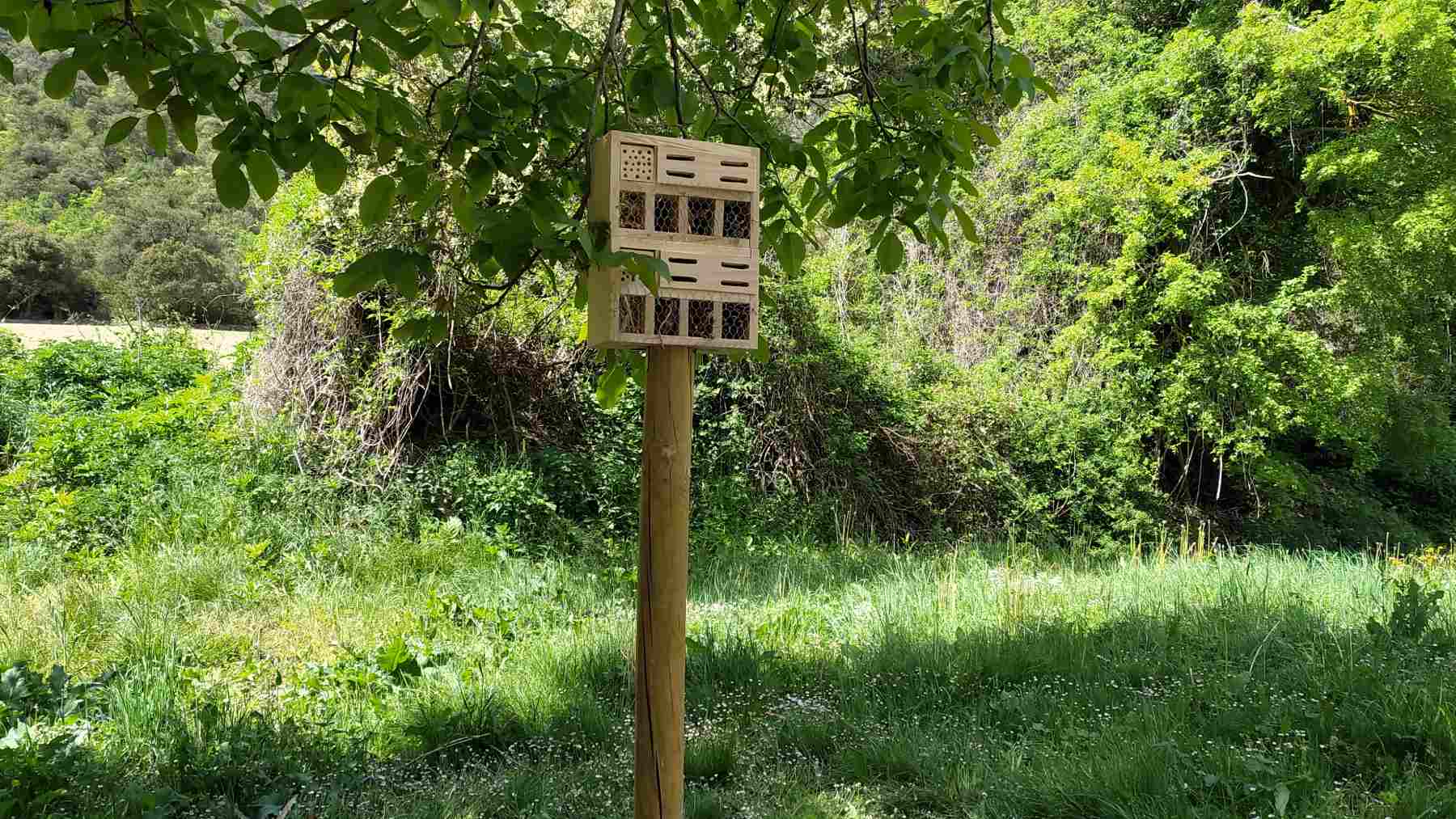 El plan educativo (y gratis) que triunfa entre los niños: construir hoteles de insectos en Navarra