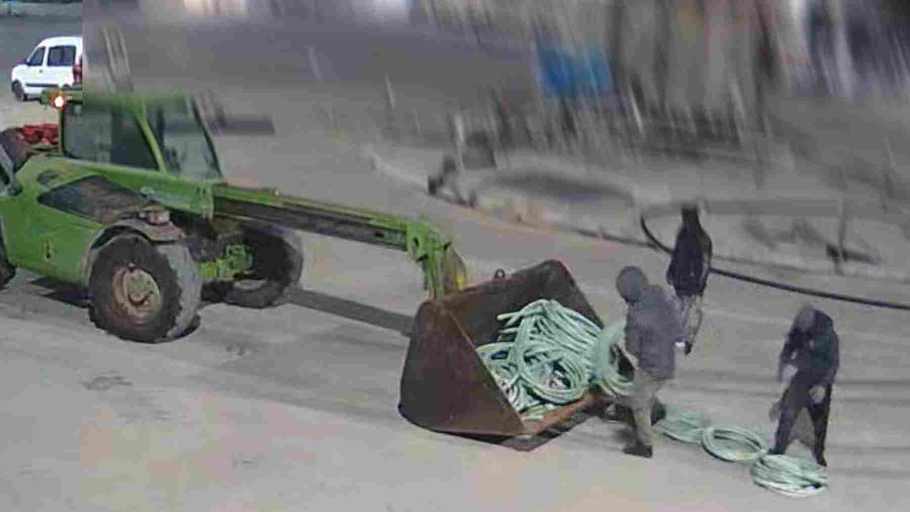 Una furgoneta, una excavadora y mucho cobre: así actuaban los rumanos que han desvalijado 3 empresas navarras