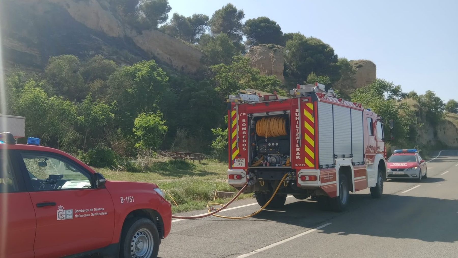 Los bomberos trabajan para extinguir un incendio en una zona de pinar en un pueblo de Navarra
