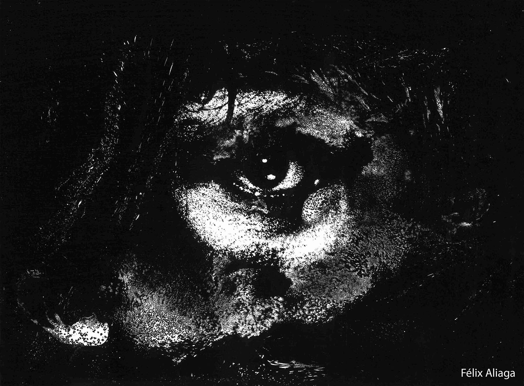 Foto 09. Monojo. (Foto Félix Aliaga, cortesía de la familia)