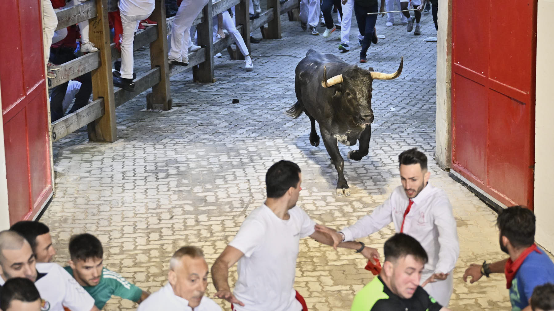 Los toros siguen siendo el gran imán de San Fermín: el encierro atrae al 71% de quienes vienen a Pamplona
