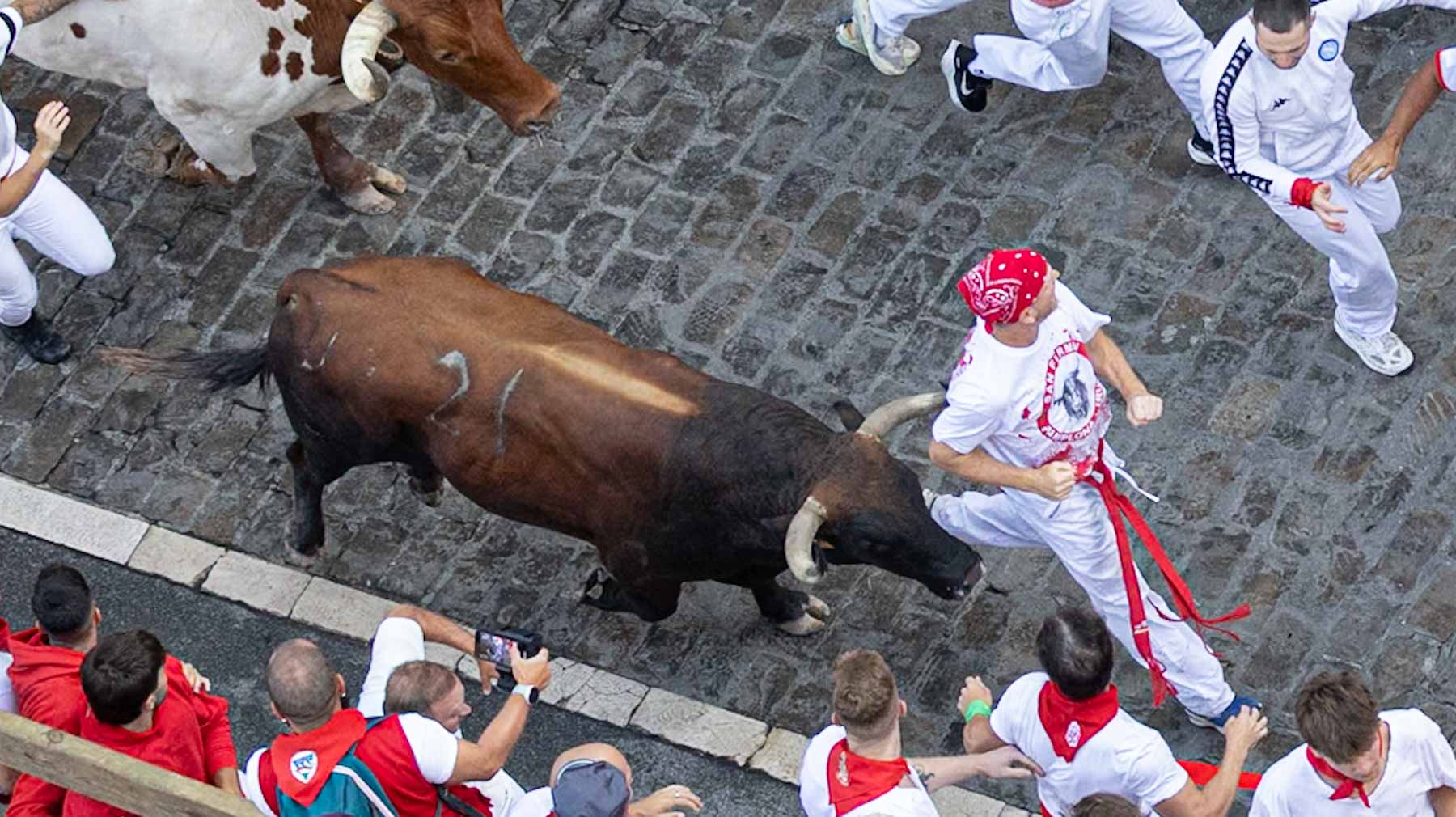 Pamplona vuelve a aplicar el producto que ha cambiado los encierros de San Fermín y evita toros sueltos