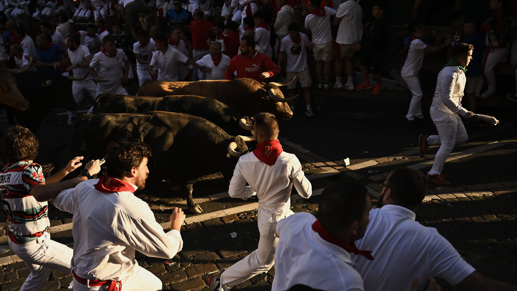 EN DIRECTO | Sexto encierro de San Fermín 2026 con toros de La Palmosilla por las calles de Pamplona