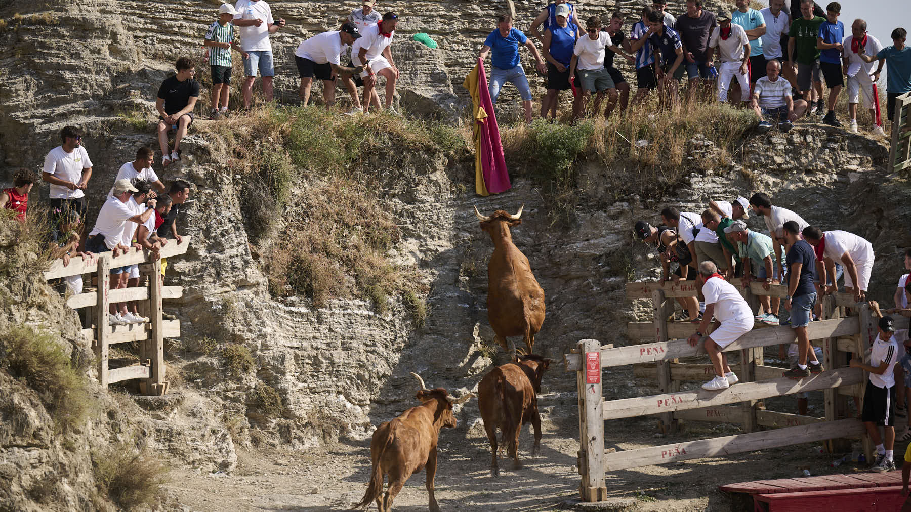 Las fiestas de Arguedas llegan este sábado con nueve días de encierros, orquestas, comidas populares y tradiciones