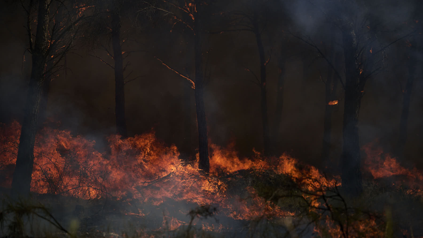 Los bomberos estabilizan el incendio declarado este sábado en Navarra: el trabajo de noche ha sido fundamental