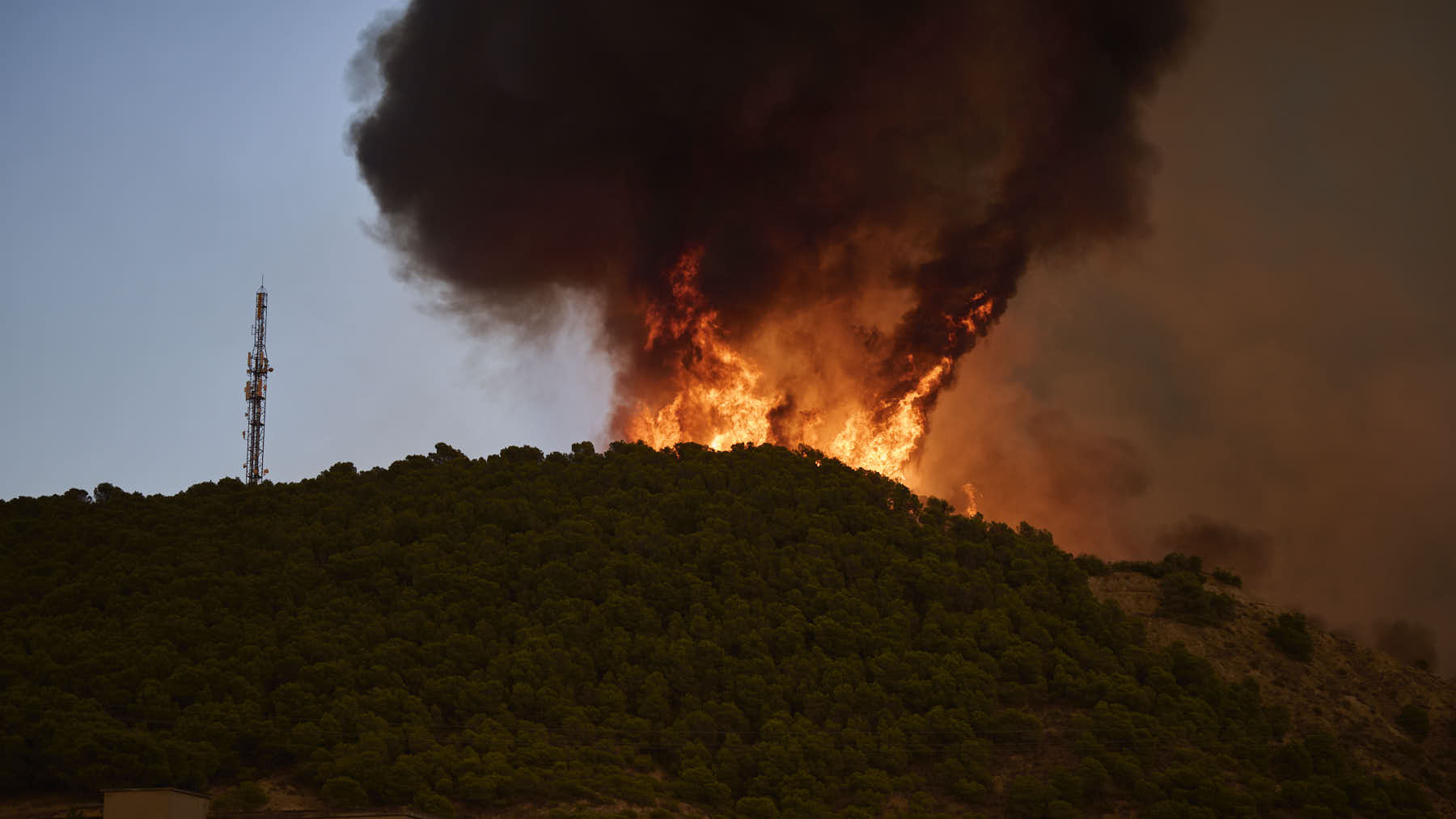 Seis días de batalla contra el fuego en Carcastillo: las llamas sucumben tras quemar 220 hectáreas