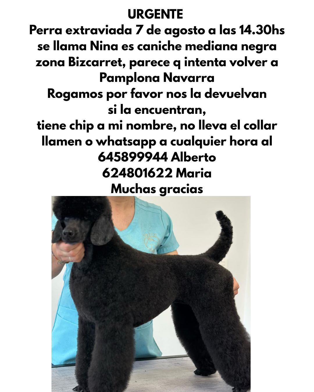 Cartel para informar sobre Nina. CEDIDA