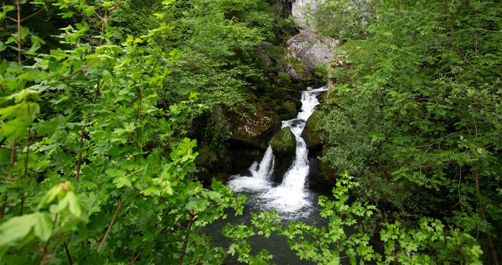 Nacedero de Iribas. TURISMO DE NAVARRA