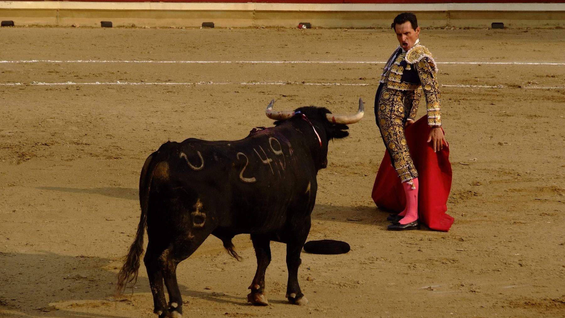 Dos orejas en la segunda corrida de fiestas de Tafalla en una tarde muy calurosa