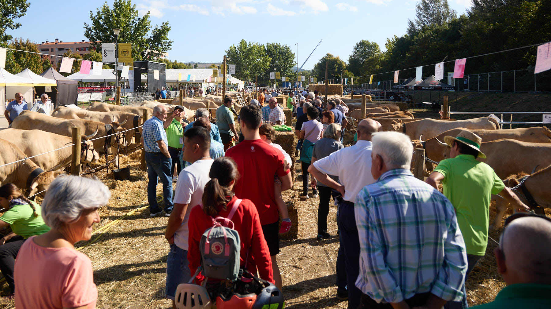 Hamburguesas 100% autóctonas, catas, degustaciones y más de 600 animales: vuelve a Pamplona la feria Autentika