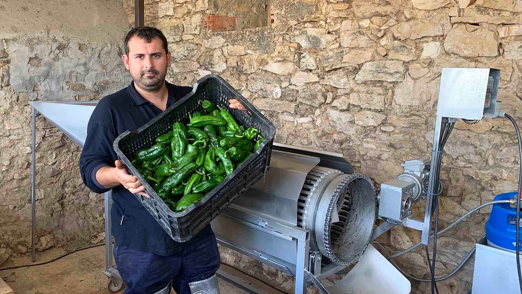 El pimiento más dulce de la temporada provoca 
