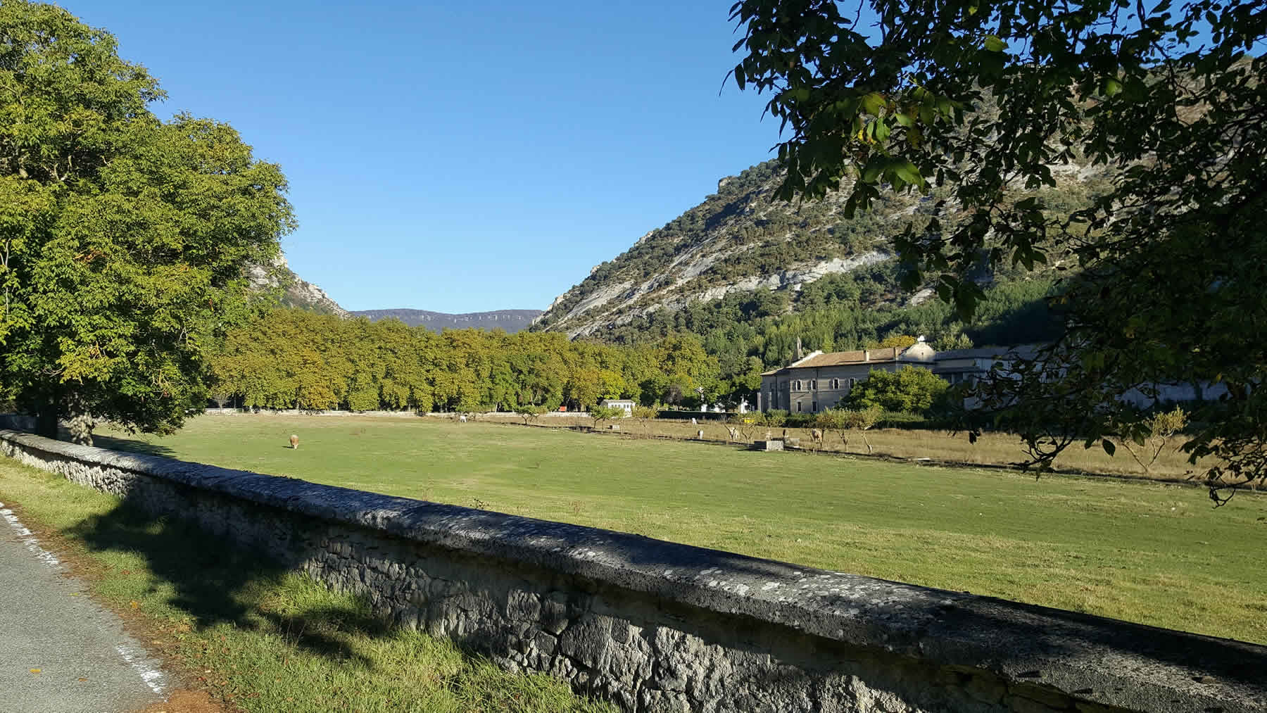 Tierras de Iranzu activa un finde redondo: magia en Abárzuza, jazz en Lizarraga y yoga entre bosques secretos