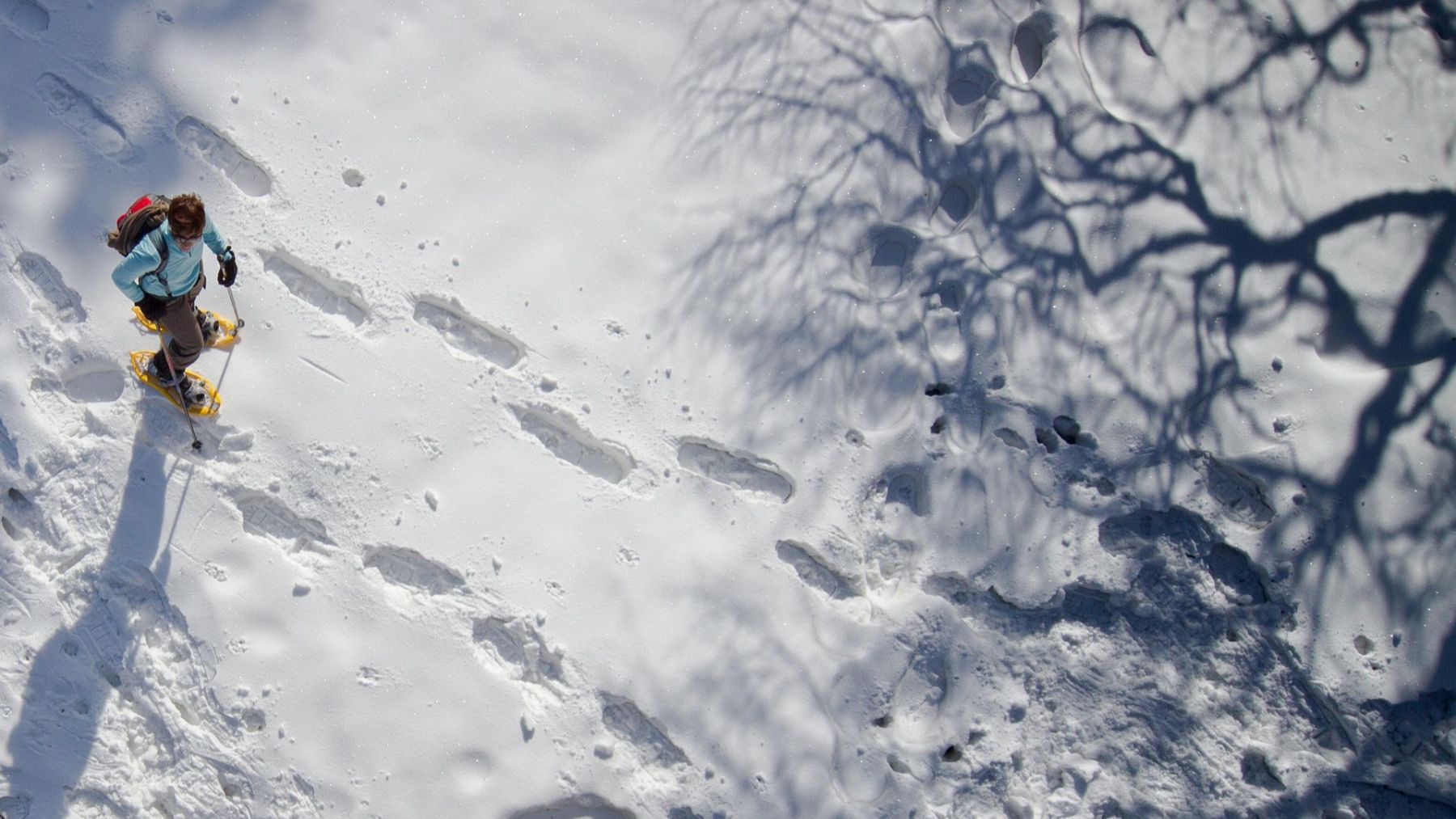 Dos rutas con raquetas en Navarra para disfrutar de la nieve durante el puente foral