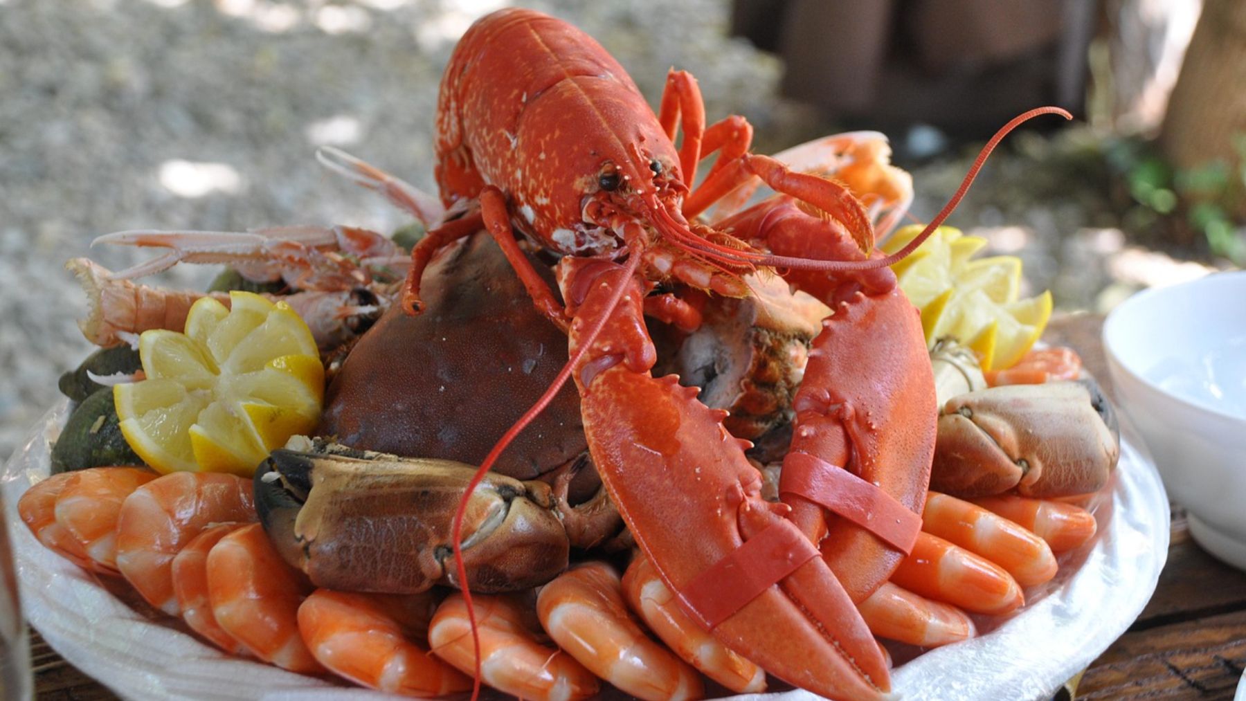 Marisco, canelones y turrón: los manjares del menú especial de Navidad en los hospitales de Navarra