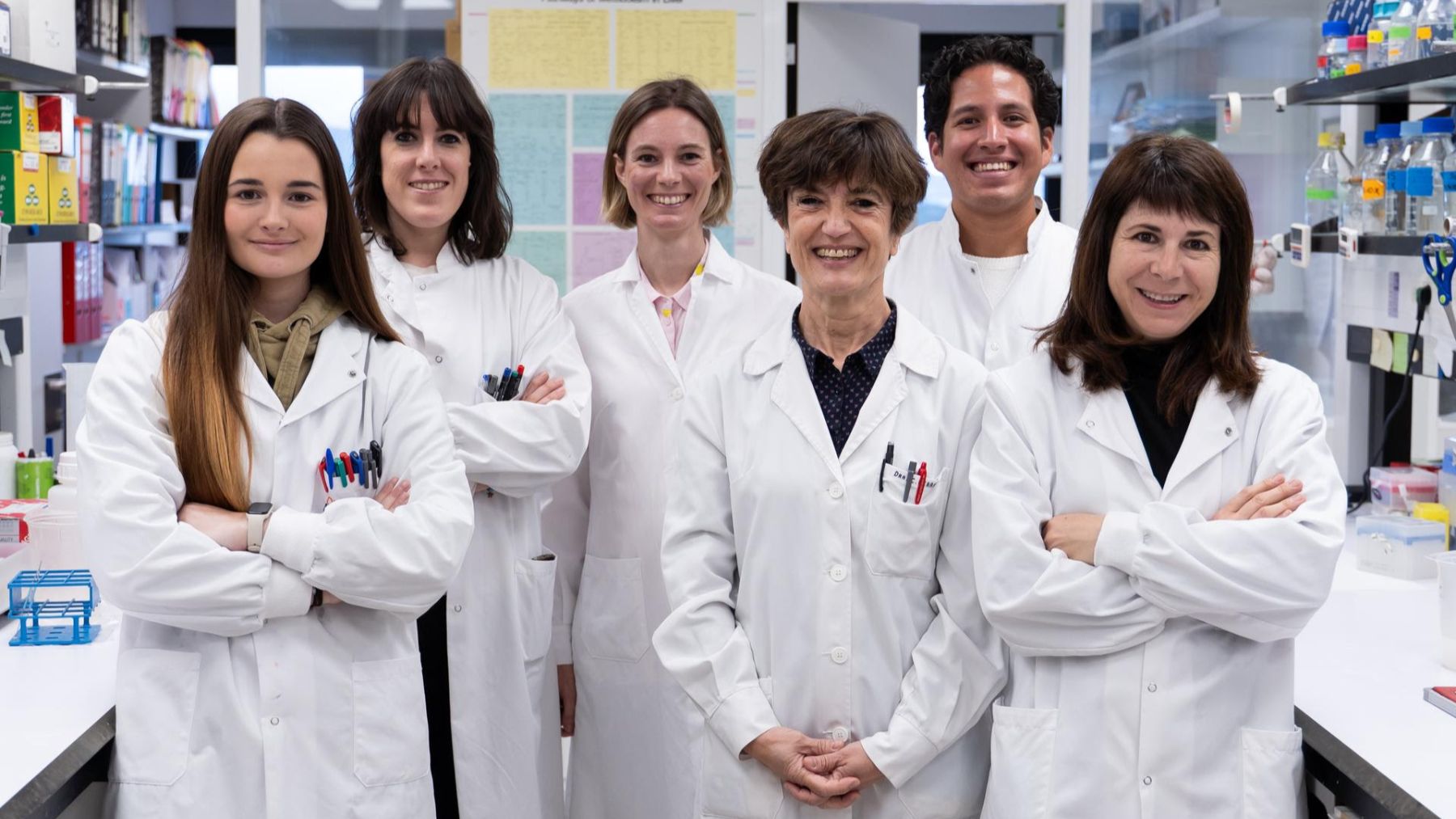 Una proteína, la clave del Cima de la Universidad de Navarra para potenciar un tratamiento para el cáncer