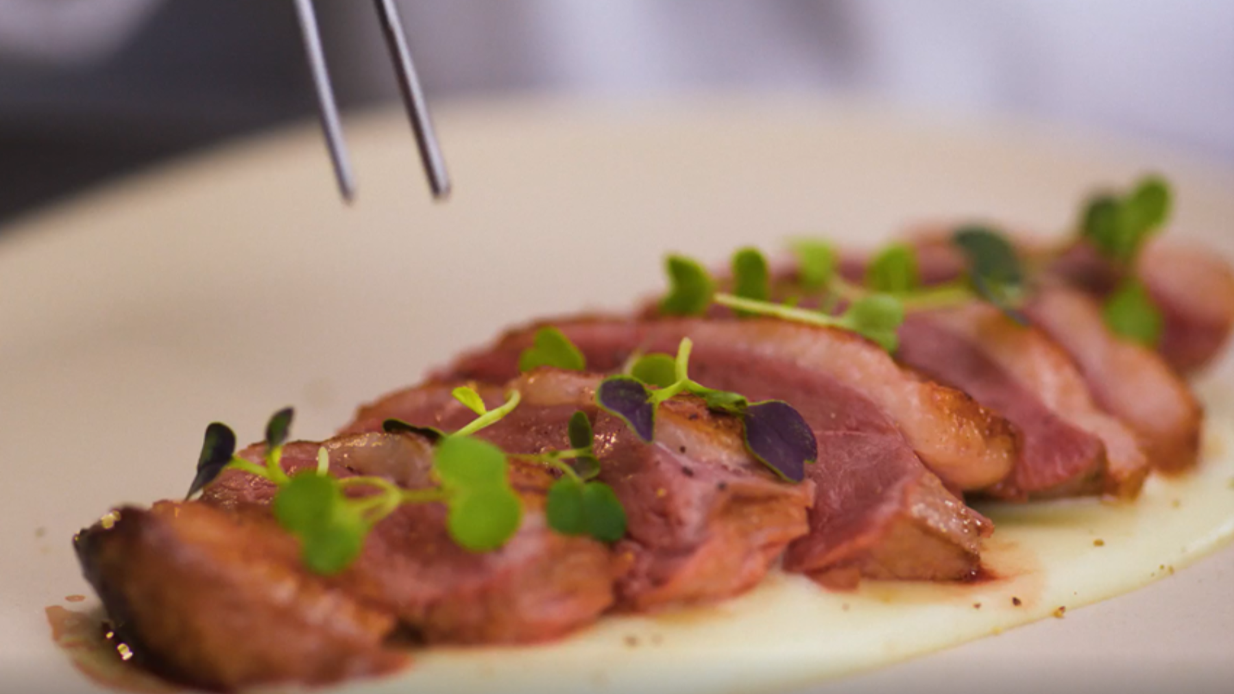 Alta cocina sin salir de casa: la empresa navarra que lanza al mercado su propuesta gourmet