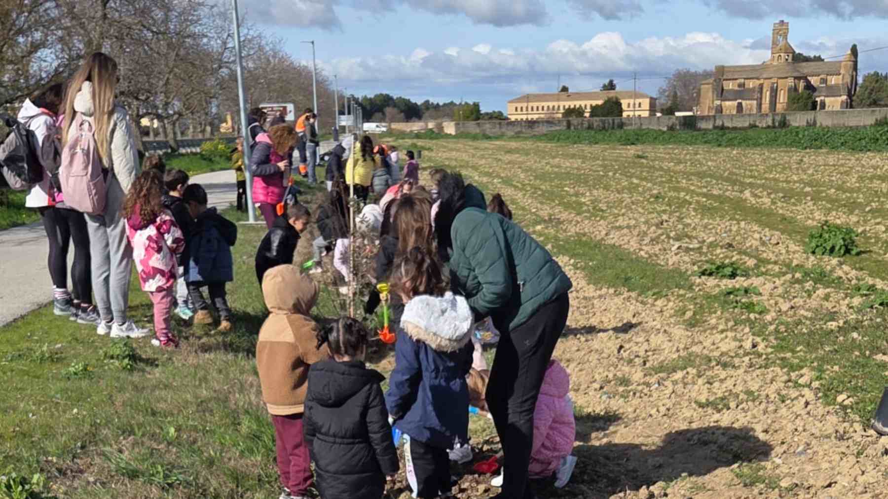 ¿Por qué han plantado 32 árboles en el paseo del Monasterio de la Oliva?: el bonito gesto de los escolares de Carcastillo.