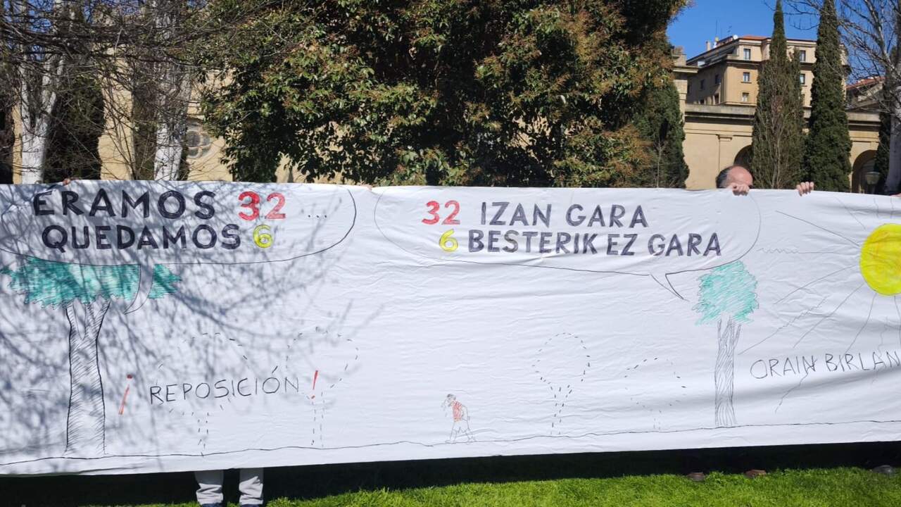 Nueva protesta vecinal contra Asiron por cargarse una zona verde en el centro de Pamplona: de 32 árboles a solo 7 en pie