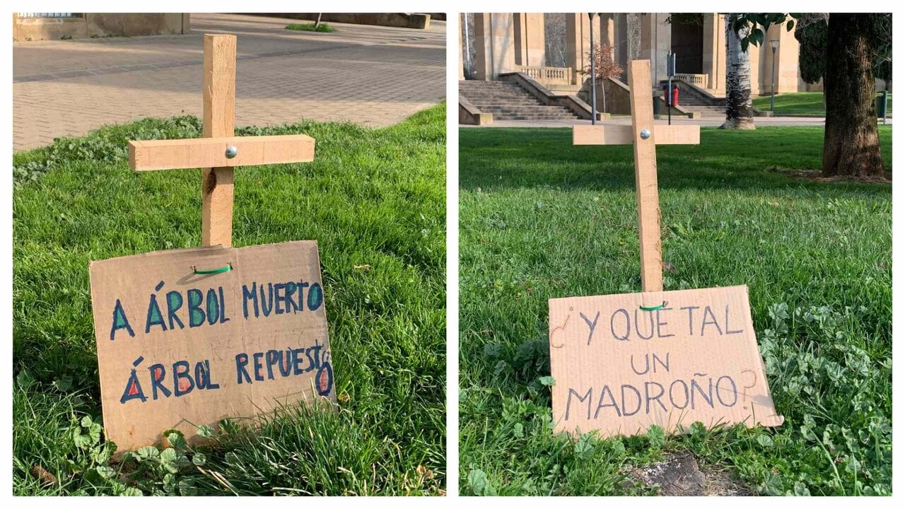 Las 25 cruces que denuncian el arboricidio de Asiron en un parque de Pamplona: “La hierba no da sombra”