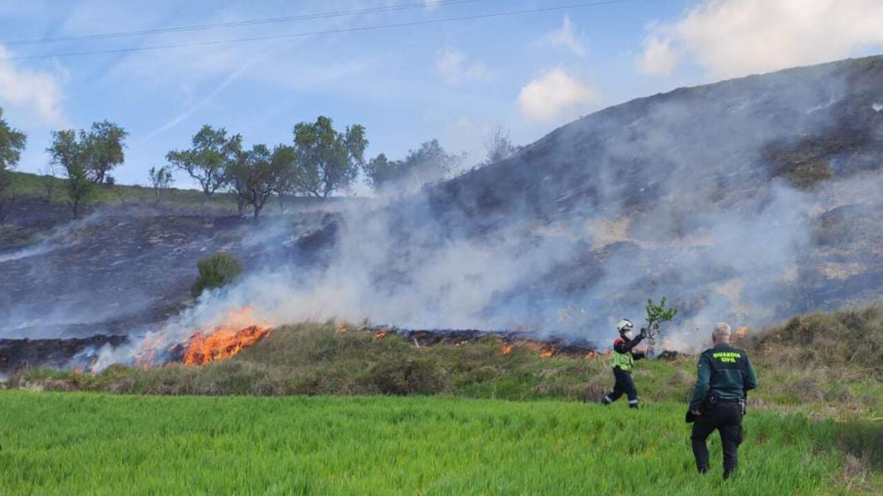Un incendio arrasa dos hectáreas en Lerín y obliga a intervenir a Guardia Civil y bomberos