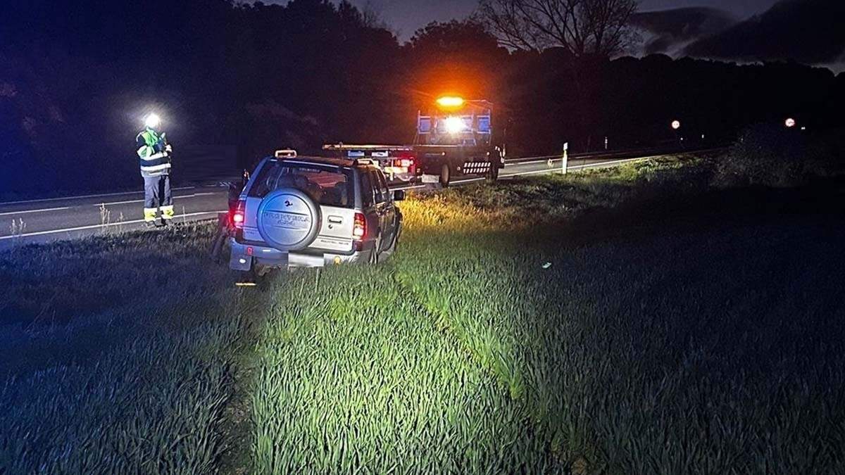 Jabalíes, corzos, alcohol y 43 accidentes: el intenso fin de semana que ha obligado a intervenir a la Policía Foral