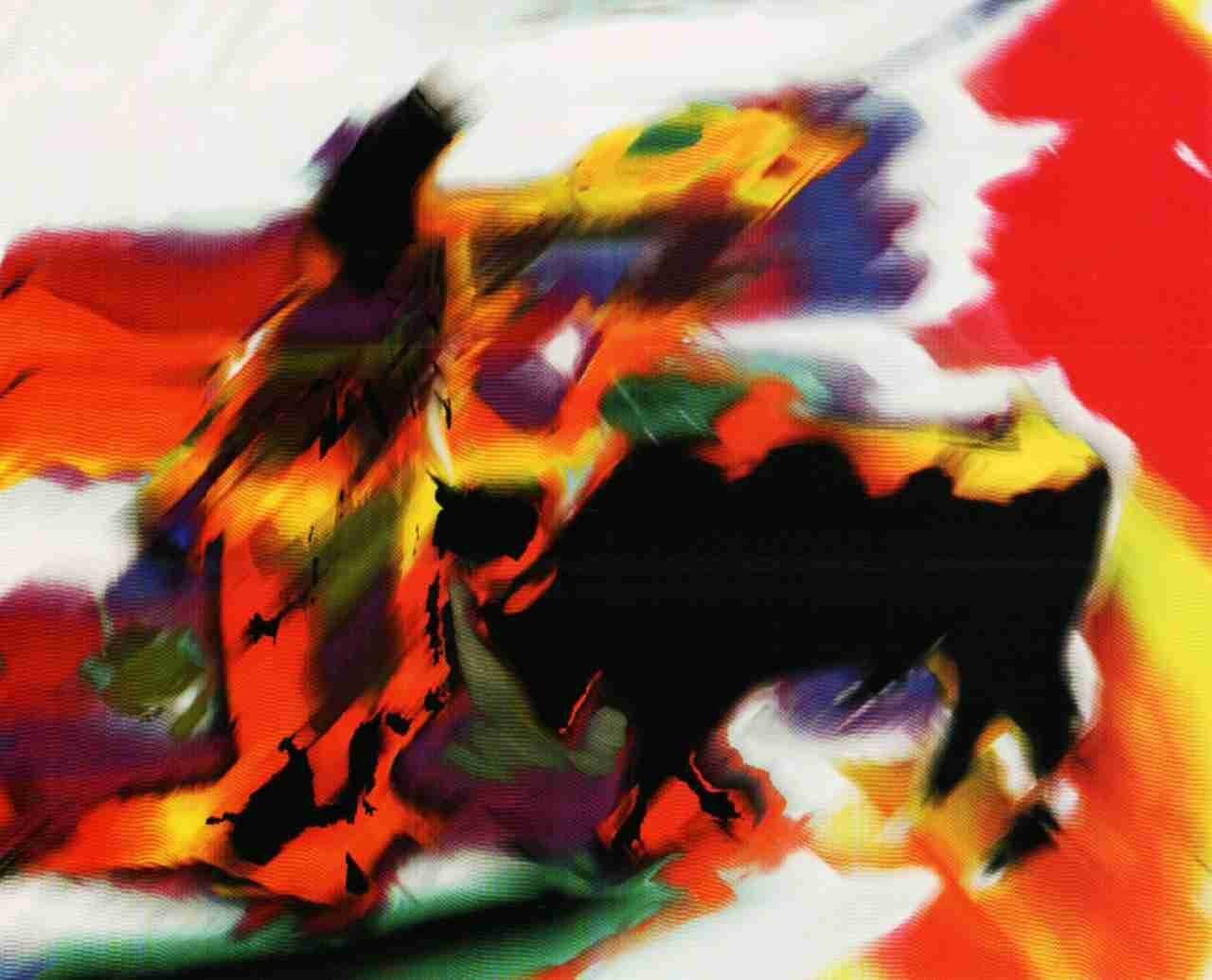 El picador. Ca. 1985. (Foto Joaquín Ahechu, cortesía del autor)