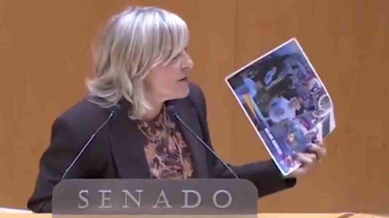 VÍDEO | María Caballero estalla en el Senado y señala al PSOE: 