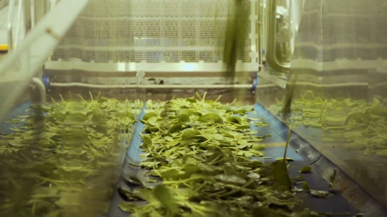 La empresa navarra que impulsa un proyecto para convertir restos vegetales en alimentos con beneficios intestinales