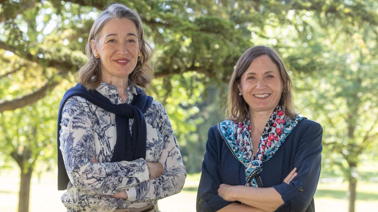 La Universidad de Navarra lanza un nuevo doble grado con salidas en docencia, edición y colegios internacionales