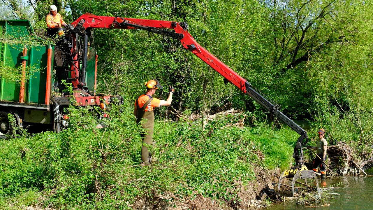 La basura y los troncos arrastrados por el Arga obligan a Pamplona a actuar en sus zonas más sensibles
